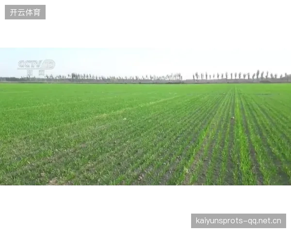 草皮科技革新减少伤停：比赛质量提升明显